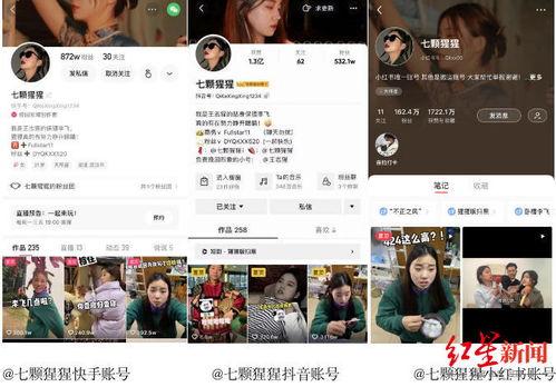 爆料段子系列视频,爆料段子系列视频深度解析  第3张